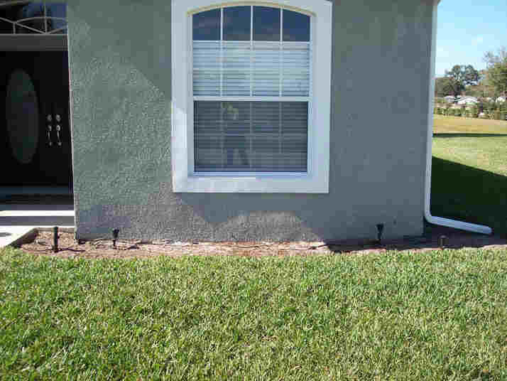 Sod landscape