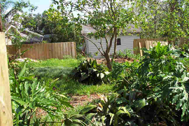Orlando landscape