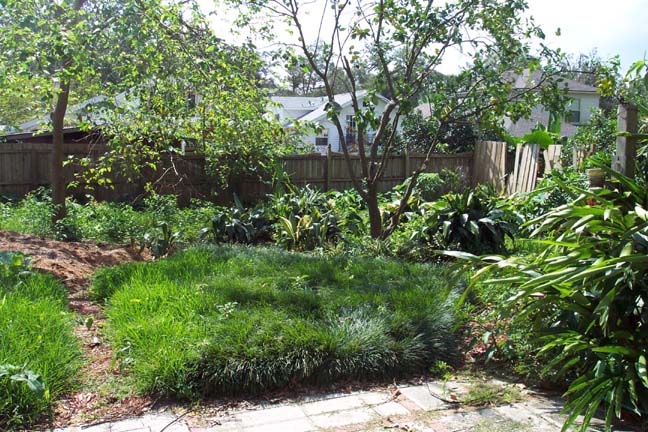 landscape install