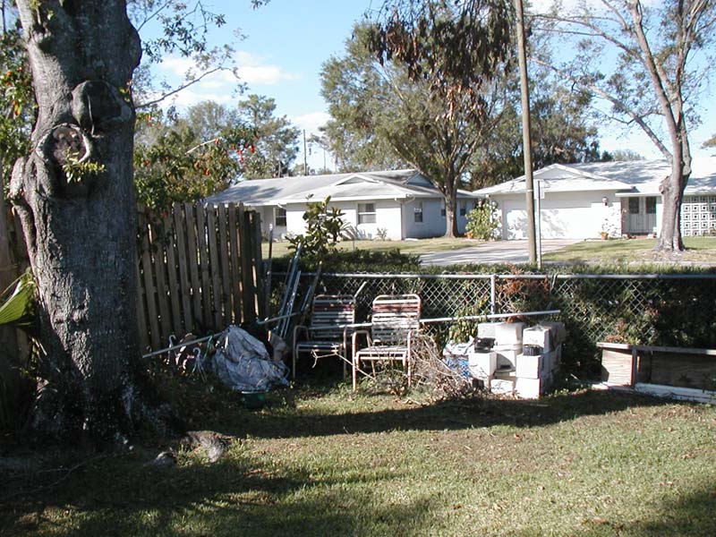 landscape removal